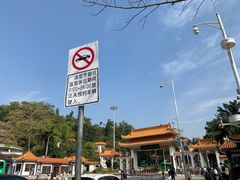 -深圳仙湖植物园