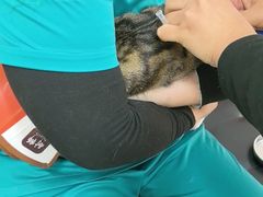 -瑞派天宁宠物医院·猫科·异宠中心