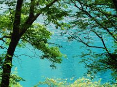 -叠溪松坪沟景区