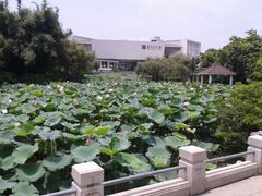 android_upload_pic-东莞市可园博物馆