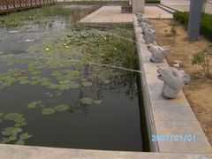 -红莲湖