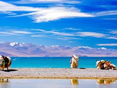 -青海湖国家重点风景名胜区