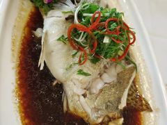 清真桂鱼-小贝壳酒楼(经九路店)