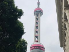 -东方明珠老上海8号餐厅(东方明珠广播电视塔店)