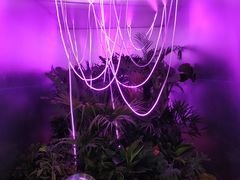 -Moka Bros 摩卡站(西单大悦城店)