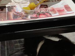 -The Habit Burger Grill 哈比特汉堡(爱琴海店)