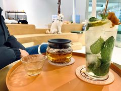 -柴务处·柴犬主题狗咖