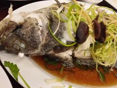 -福满楼中餐厅