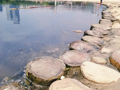 -滨湖塘西河公园