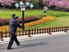 -习家池