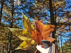 -四明山国家森林公园