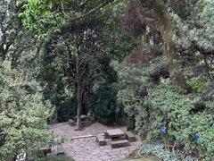 -南山植物园
