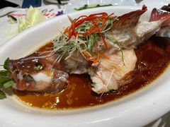 翅汤东星斑-金米箩大酒店(五角场店)