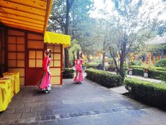 -白家大院·王府宫廷菜(苏州街店)