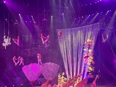 -广州长隆国际大马戏