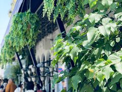 -Sirena海妖日咖夜酒