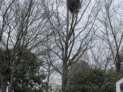 -潜龙渠公园
