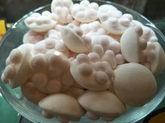 -猫咪博物馆(顶澳仔猫街店)