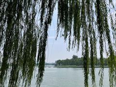 -济南大明湖景区