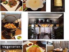 枣子树-枣子树素餐厅(铂金城店)