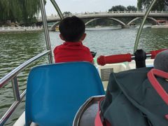 游乐设施-陶然亭公园