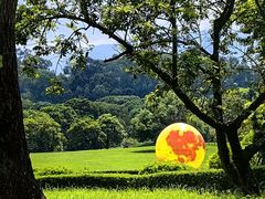 -福建鲤鱼洲酒店