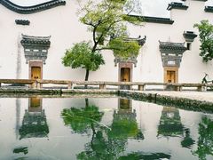 -广富林郊野公园