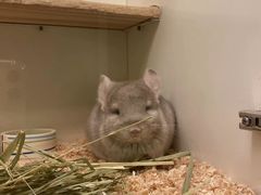 -龙猫仔乐园(惠福东路店)