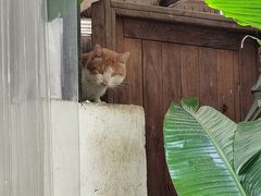 -云里小坐·小院里·团建·宴请·下午茶(三圣乡店)