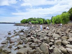 -上海吴淞炮台湾国家湿地公园