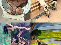 -正佳雨林生态植物园