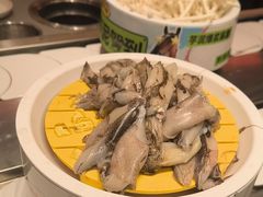 -龍歌自助小火锅(雨花台江南虹悦城店)