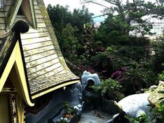-疯狂屋