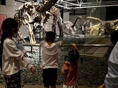 -世界恐龙谷景区