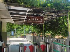 -广州白江湖森林公园