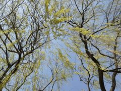 -玲珑塔公园