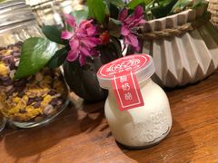 -狐狸家·酸奶酪专门店(平江路店)