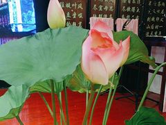 -宋园·金宴浙鲜馆(静安店)