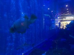 -成都浩海立方海洋公园