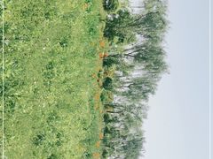-洨河生态公园