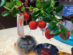 -唐猫庭院·千年陕菜(大唐不夜城店)