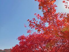 -蓟县鼓楼
