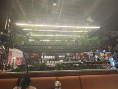 -猫爪爪原切自助烤肉(观音桥阳光世纪店)