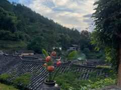 -杨家堂村