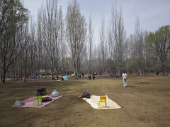 -廊坊市自然公园