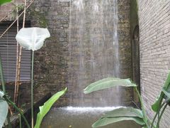 -渝半城经典川粤菜(重庆天地店)