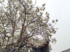 -西安市广仁寺