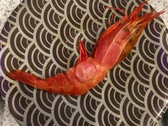 -争鲜回转寿司(飞洲国际店)