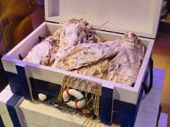 -千岛蚝高压锅生蚝·人参火锅(白云万达店)