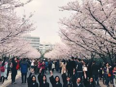 -同济大学(地铁站)
